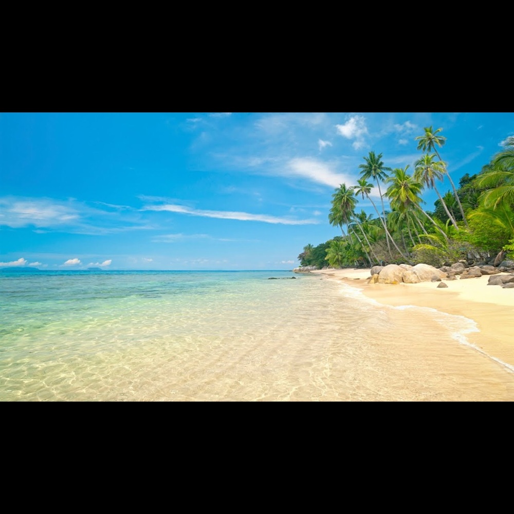 Meet your Posher, Alexa